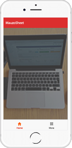 Vipengele vya MauzoSheet